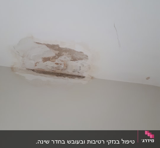 תקרה עם קילופי צבע וסדק קטן